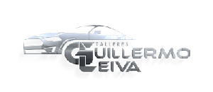LOGO TALLERES web 300